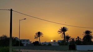 Ein Sonnenuntergang über einem Wohngebiet mit Palmen und einer Straße.