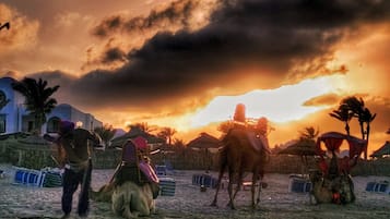 Apartemen (4 Bedrooms) | Interior