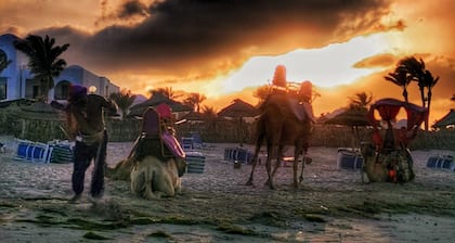 Copy ~15 Miles to Disney Parks From Home w/ Pool Deck!