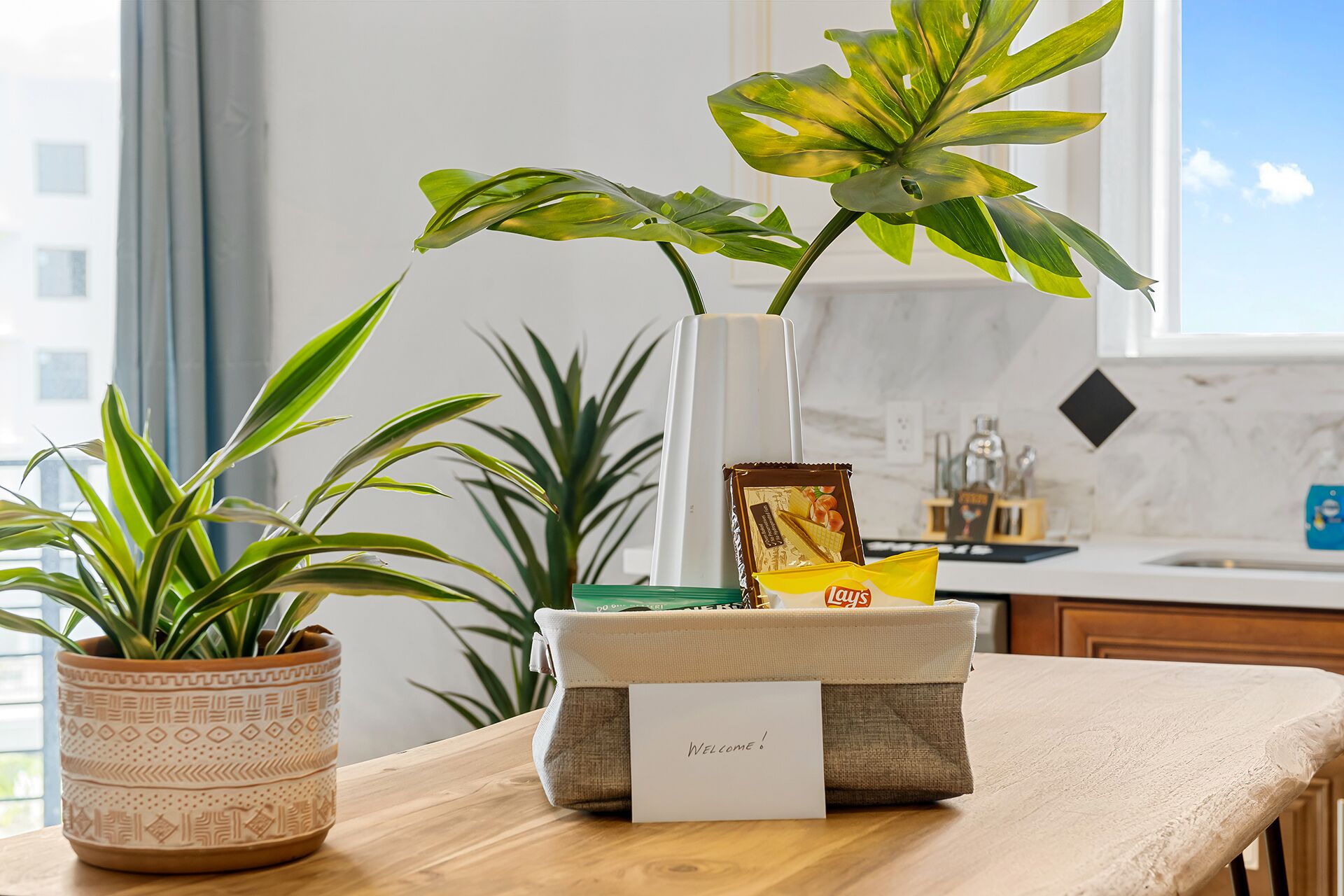A kitchen counter with a potted plant, a vase with a card, and a bag of chips.