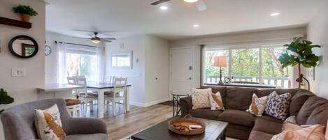 Smart TV, fireplace, books