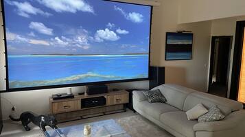 TV connectée, cheminée, jeux vidéo, lecteur de DVD