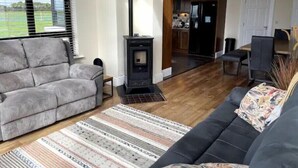 A living room with a grey sofa, a patterned rug, and a black fireplace.