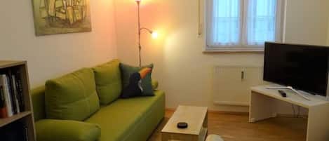 Televisión y libros