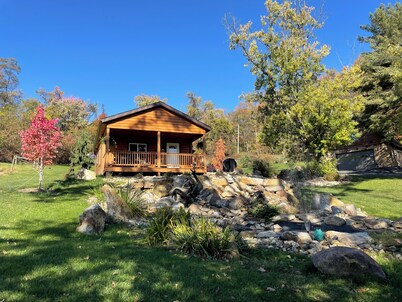 LILY PAD: Cozy Cabin with Unique Charm overlooking small pond on our property.