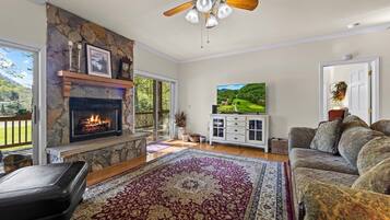 Smart TV, fireplace, DVD player, video library
