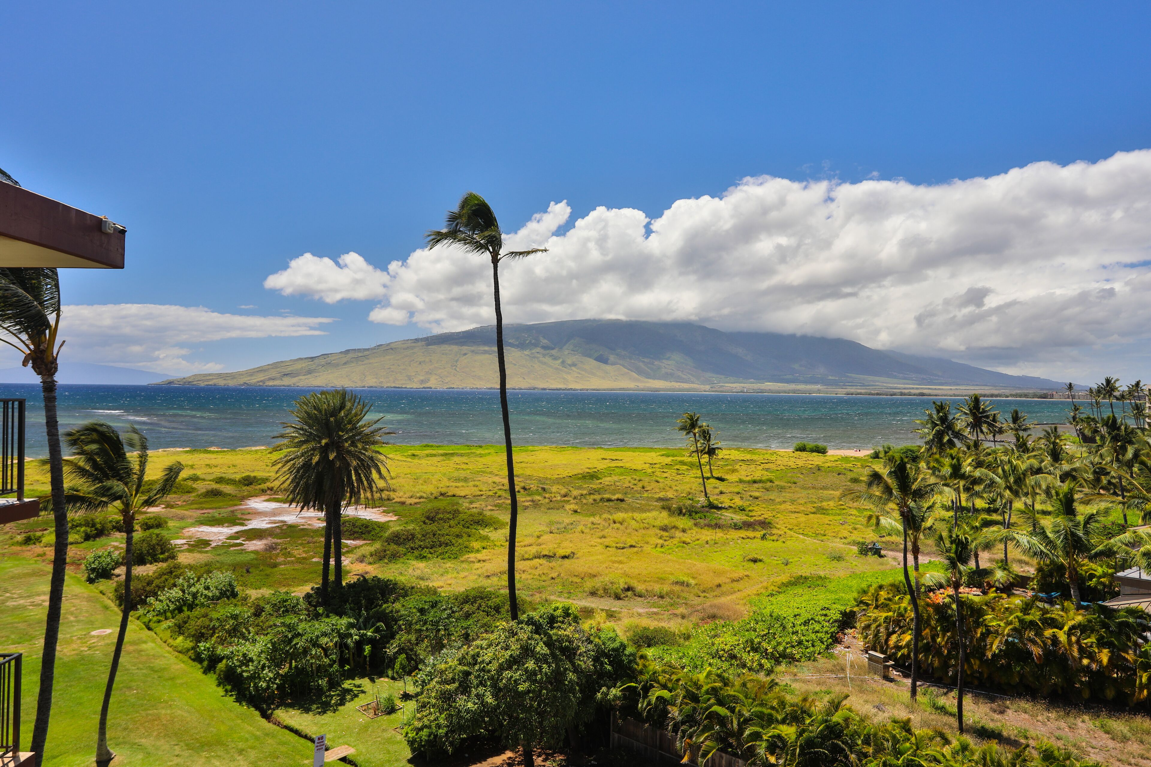 Un paysage tropical avec vue sur l’océan et une montagne à l’horizon.