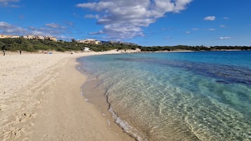 Lettini da mare