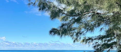 海滩