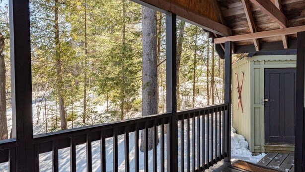 A wooden deck with a black railing overlooking a snowy forest. - Sugarloaf camp - ski/ outdoors rustic retreat (Carrabassett valley)