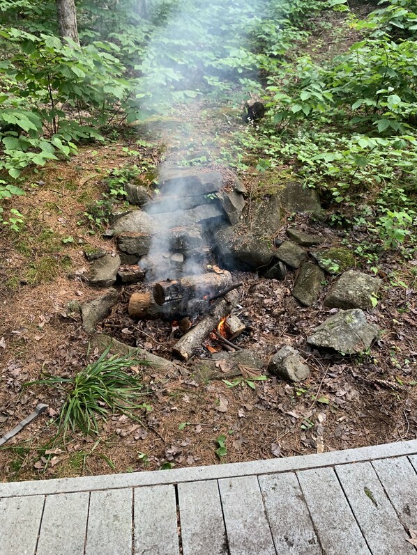 A campfire surrounded by rocks and greenery in a forested area.