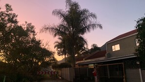 A paved driveway leading to a gated entrance with a palm tree and shrubbery on the left. - Mispa George - Self Catering Apartment - Sleeps 2 (George)