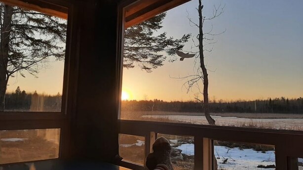 A window view of a forested landscape with a sunset.