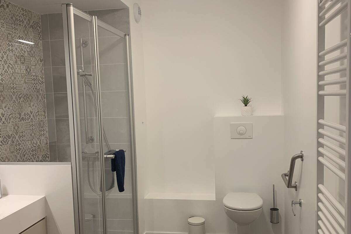 A modern bathroom with a glass shower enclosure, a toilet, and a sink.