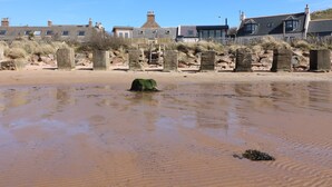 Ein Sandstrand mit einer Steinmauer und Häusern im Hintergrund.