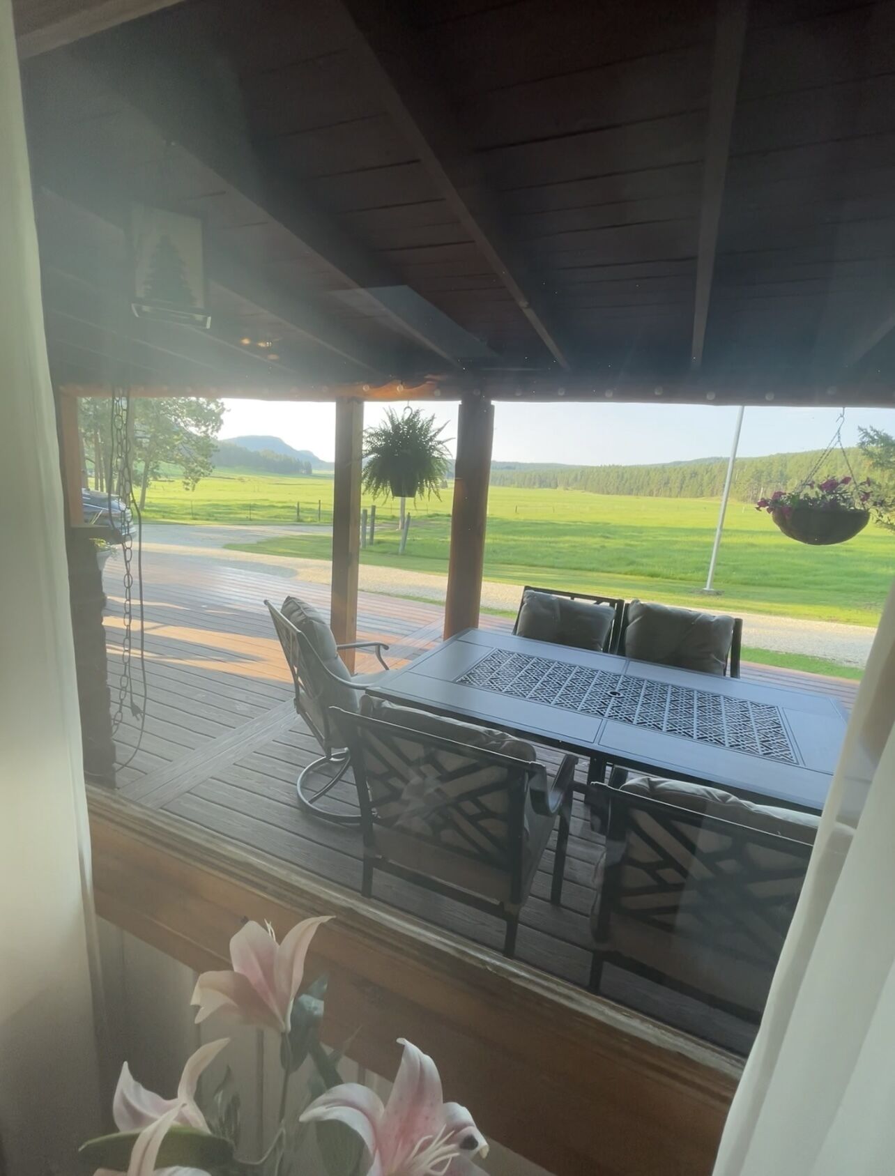 Un porche cubierto con una mesa y sillas, una planta colgante y vistas a un paisaje verde.