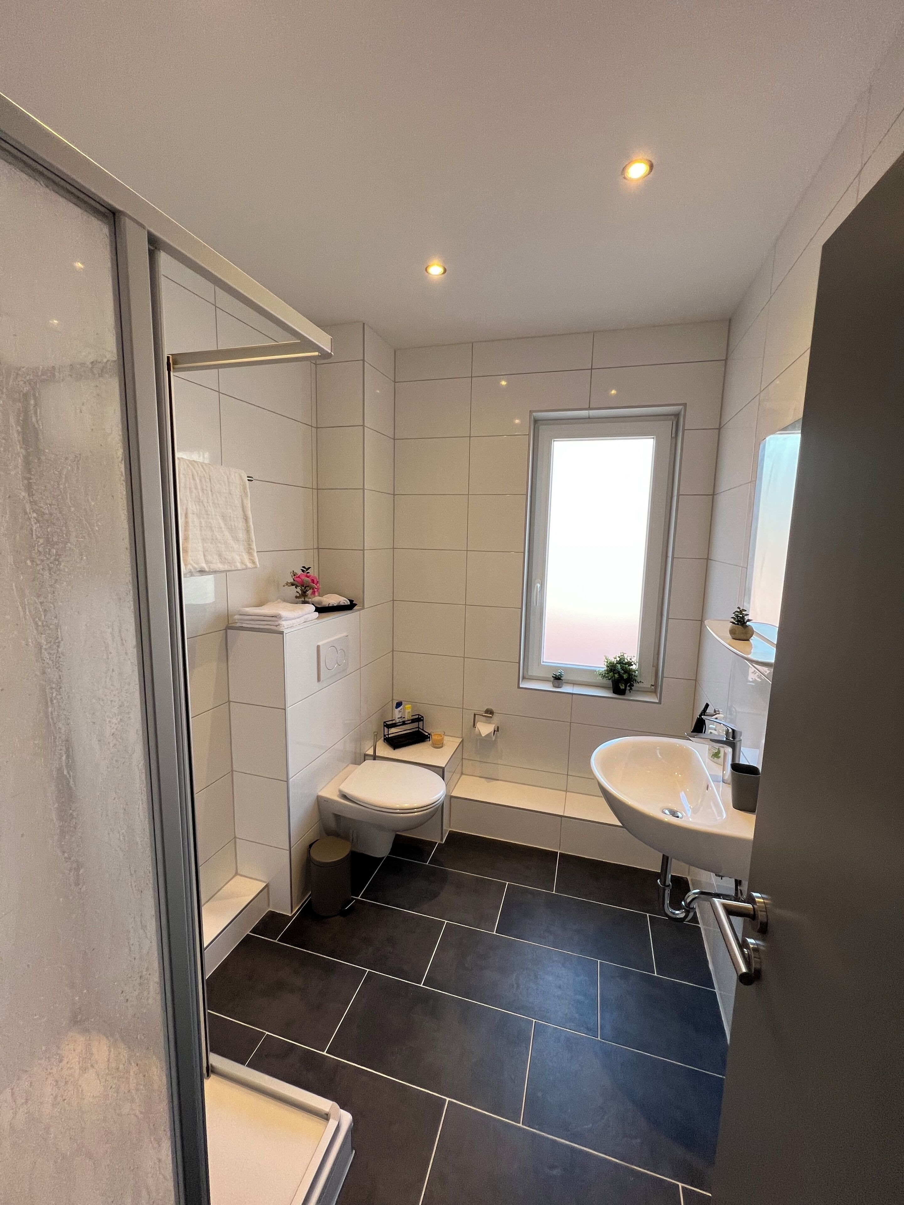 Dusche, Haartrockner