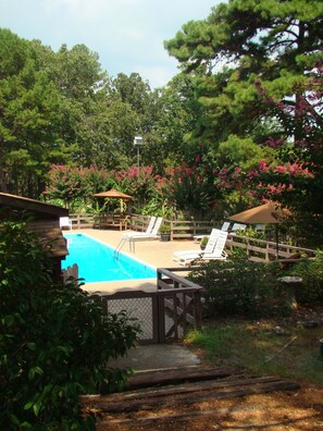 Relax by the pool surrounded by lush greenery and trees, with lounge chairs and umbrellas providing shade.