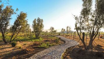 A gravel path winding through a rural landscape with sparse trees and a clear sky.
