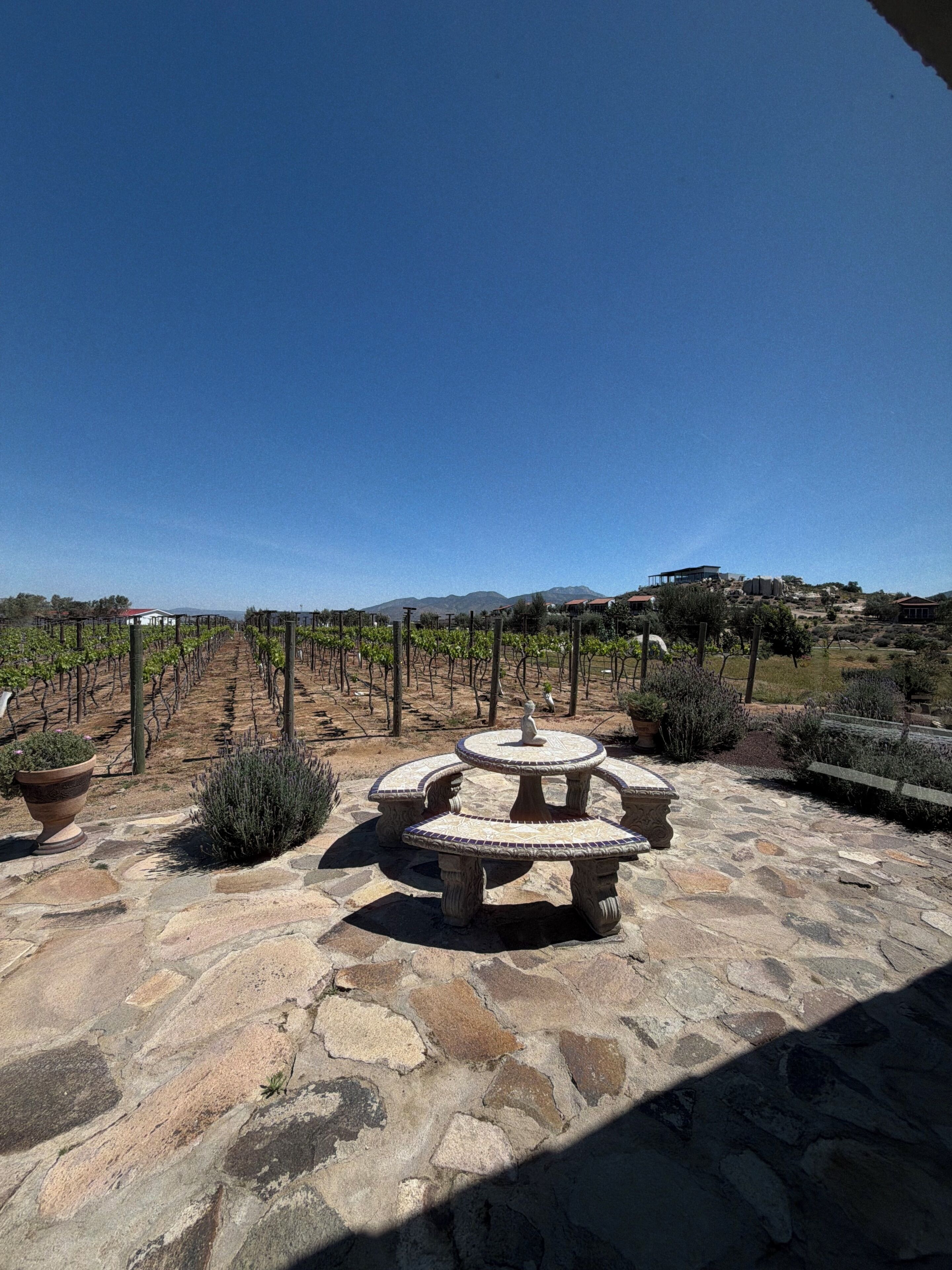 Une terrasse en pierre avec une table ronde et des plantes en pot, donnant sur un vignoble.