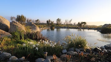 A serene lakeside setting with large rocks, lush greenery, and white flowers.
