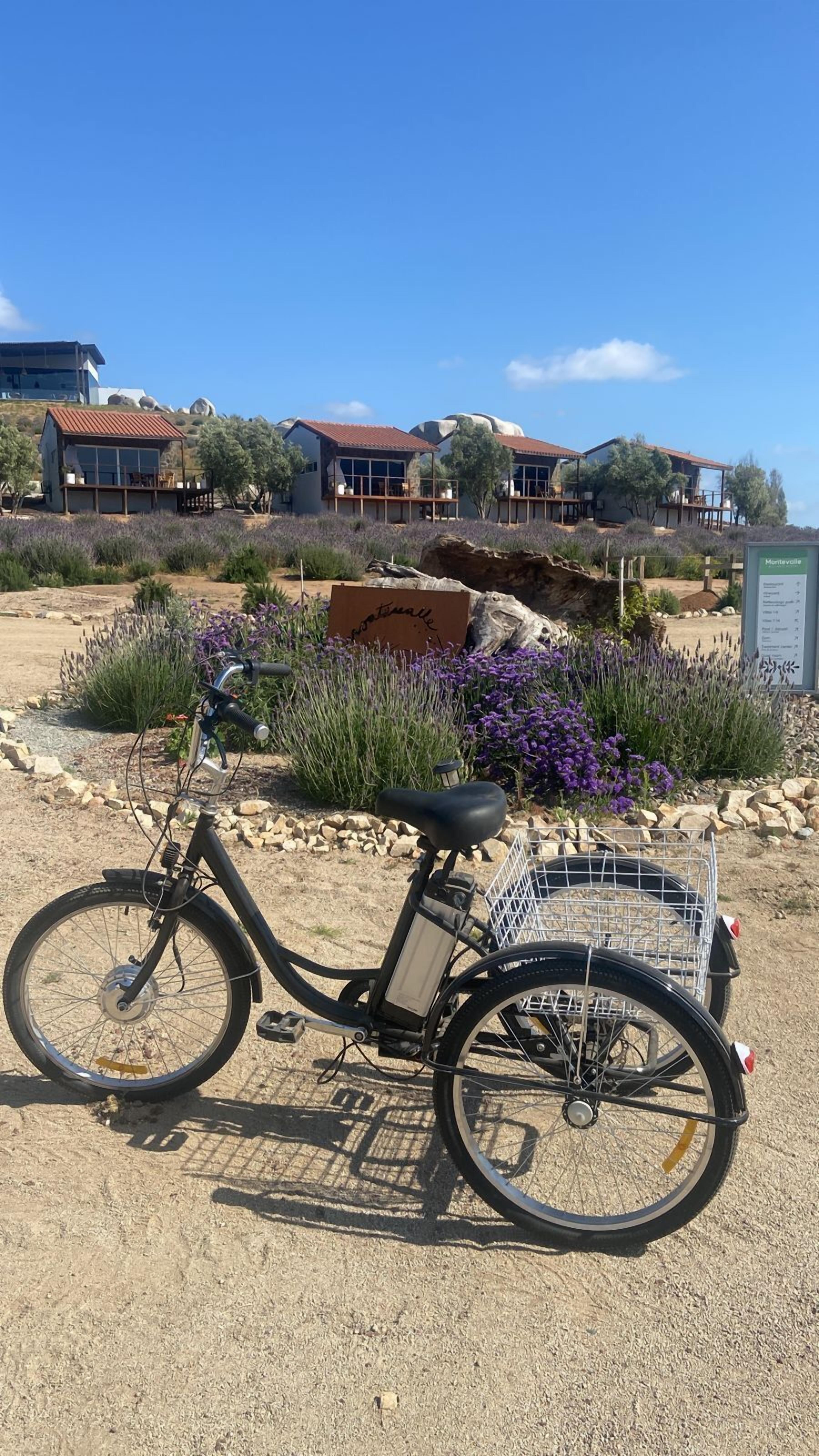 A bicycle parked on a gravel path with a metal basket attached to the rear. In the background, there are houses with red roofs and a sign that reads 'Montevale.'