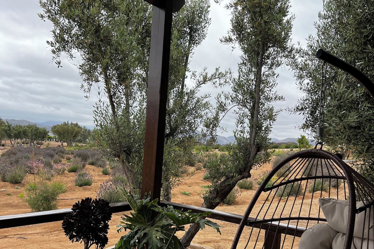 Cabin, 1 giường cỡ king | Két bảo mật tại phòng, bàn, bàn ủi/dụng cụ ủi quần áo