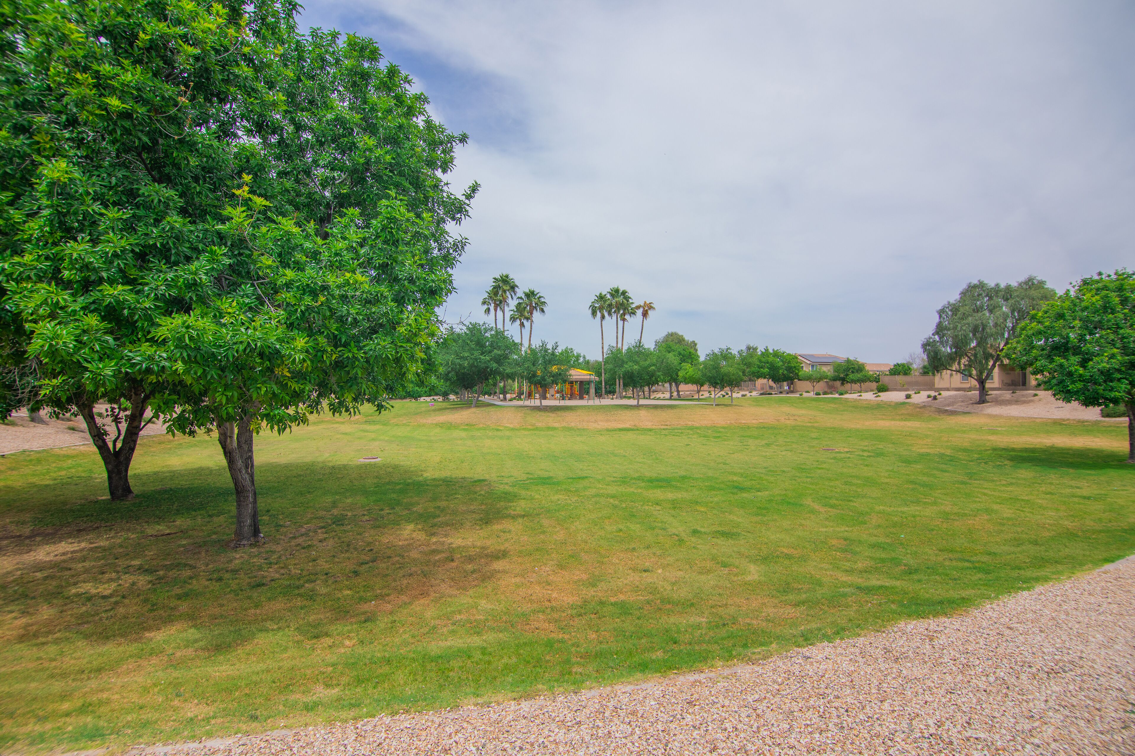A park with a grassy area, trees, and a building in the background.
