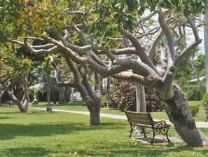 Property grounds - Seas the Day at Sea Nymph (Riviera Beach)