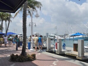Guests can stroll along the marina's paved walkway, surrounded by palm trees and street lamps, with boats docked nearby.