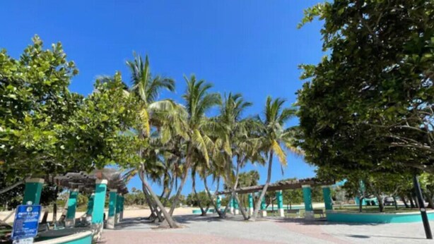 A paved walkway with palm trees and a covered area with green pillars. - Hot Tub, Walk to Beach, Snorkeling, Surfing (Riviera Beach)