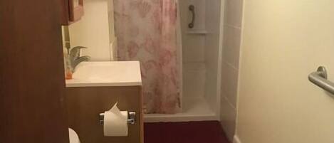 Un baño pequeño con inodoro, lavamanos y zona de ducha.