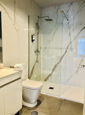 Shower, hair dryer, towels