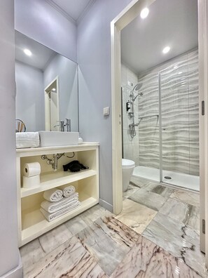 Shower, hair dryer, towels