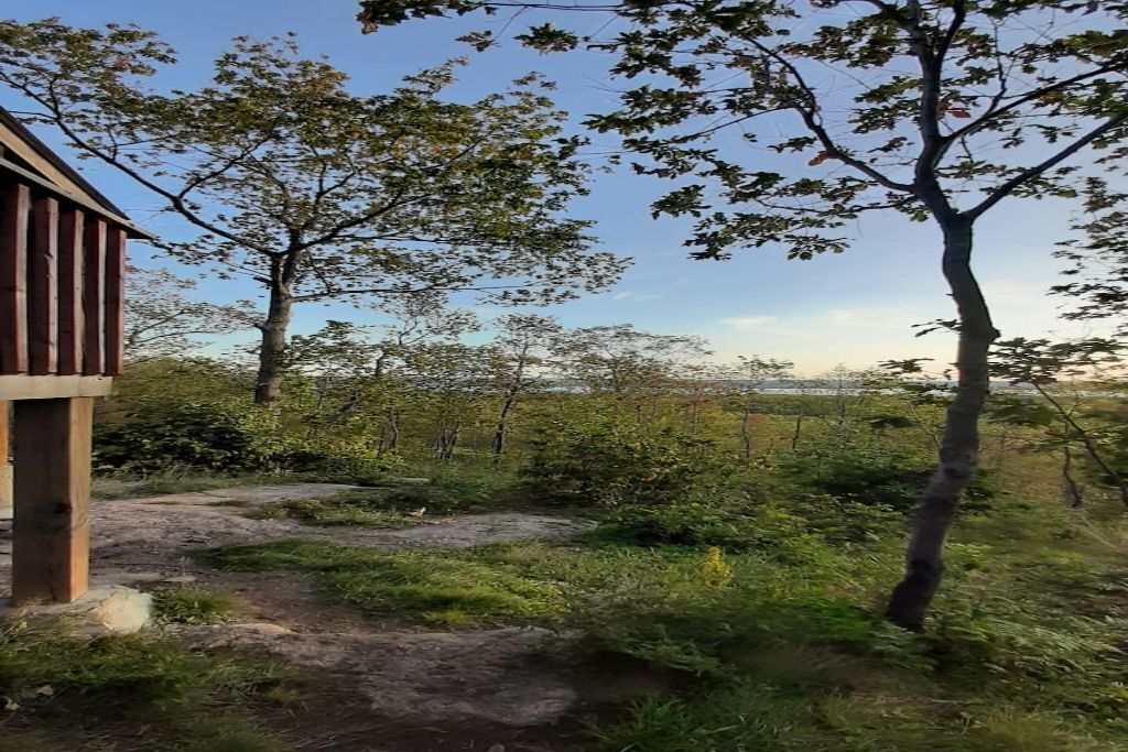 SARAH LESLEY CABIN, VERY PRIVATE