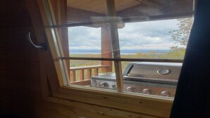 Une cabane en bois dotée d’une grande fenêtre donnant sur un barbecue et un paysage pittoresque.