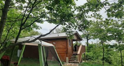 SARAH LESLEY CABIN, VERY PRIVATE