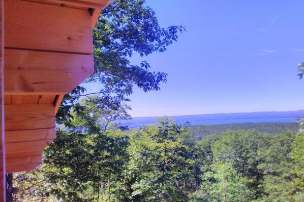 A wooden cabin with a view of a dense forest and a distant body of water. - VERY PRIVATE, Escarpment Cabin, No Neighbours, Pet Friendly - Sarah Lesley Cabin (Golden Lake)