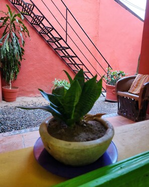 Pensamiento - Private 4 - Teocalli Hostel Adults Only  (Puerto Vallarta)