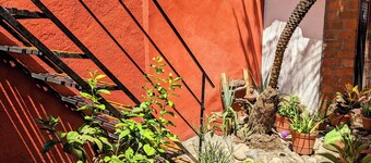 Teocalli Hostel Adults Only 