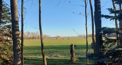 Partial lake view cabin at Balaton Beach with handicap access