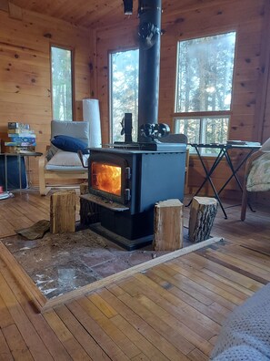 Interior - Partial lake view cabin at Balaton Beach with handicap access (Riverton)