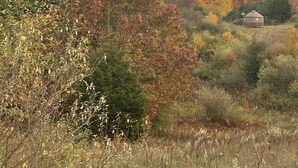 Ländliche Landschaft mit einem kleinen Haus, umgeben von Herbstlaub.