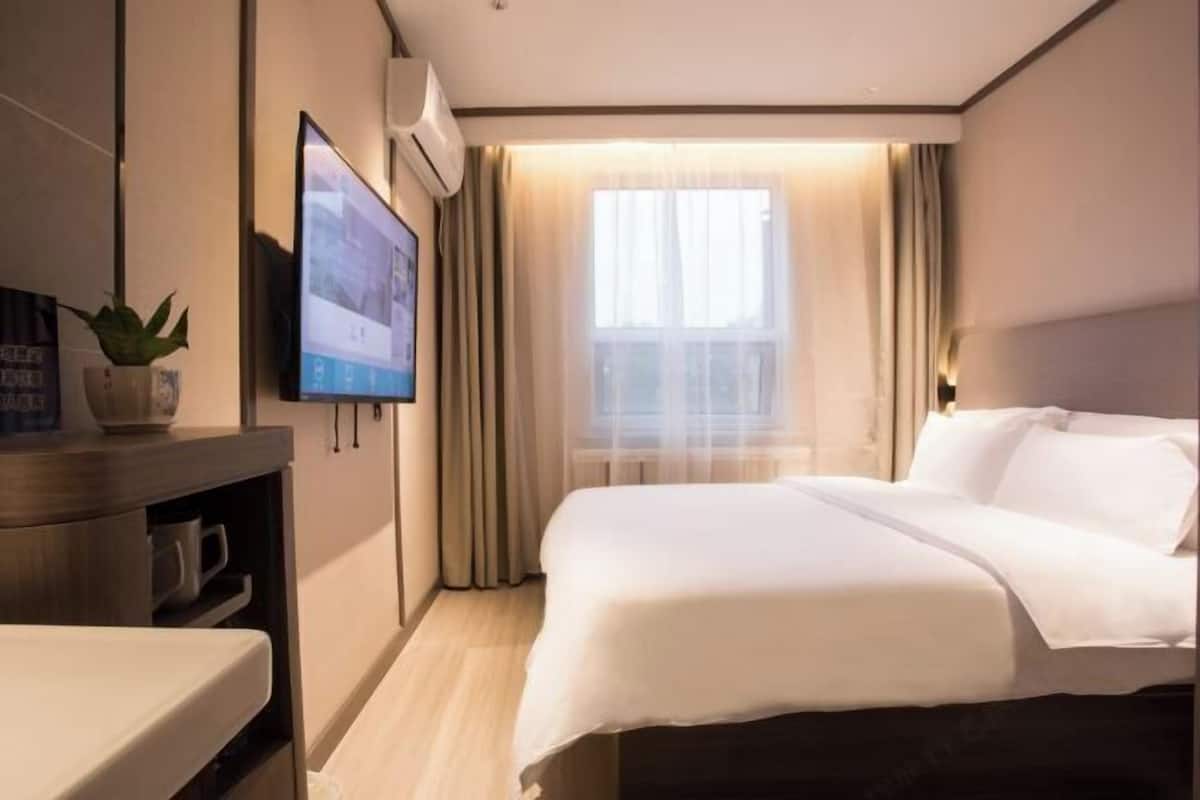 A hotel room with a bed, a TV mounted on the wall, a window with curtains, and a small table with a plant.