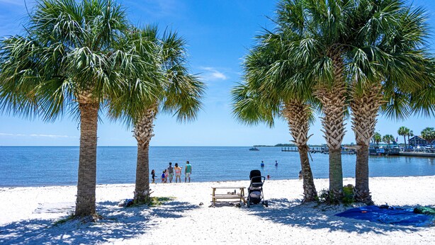 Beach - Gulf Views-Pet Friendly (Cedar Key)