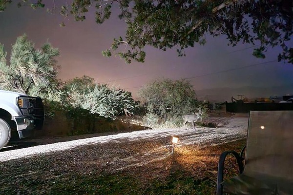 Àrea exterior de l'allotjament