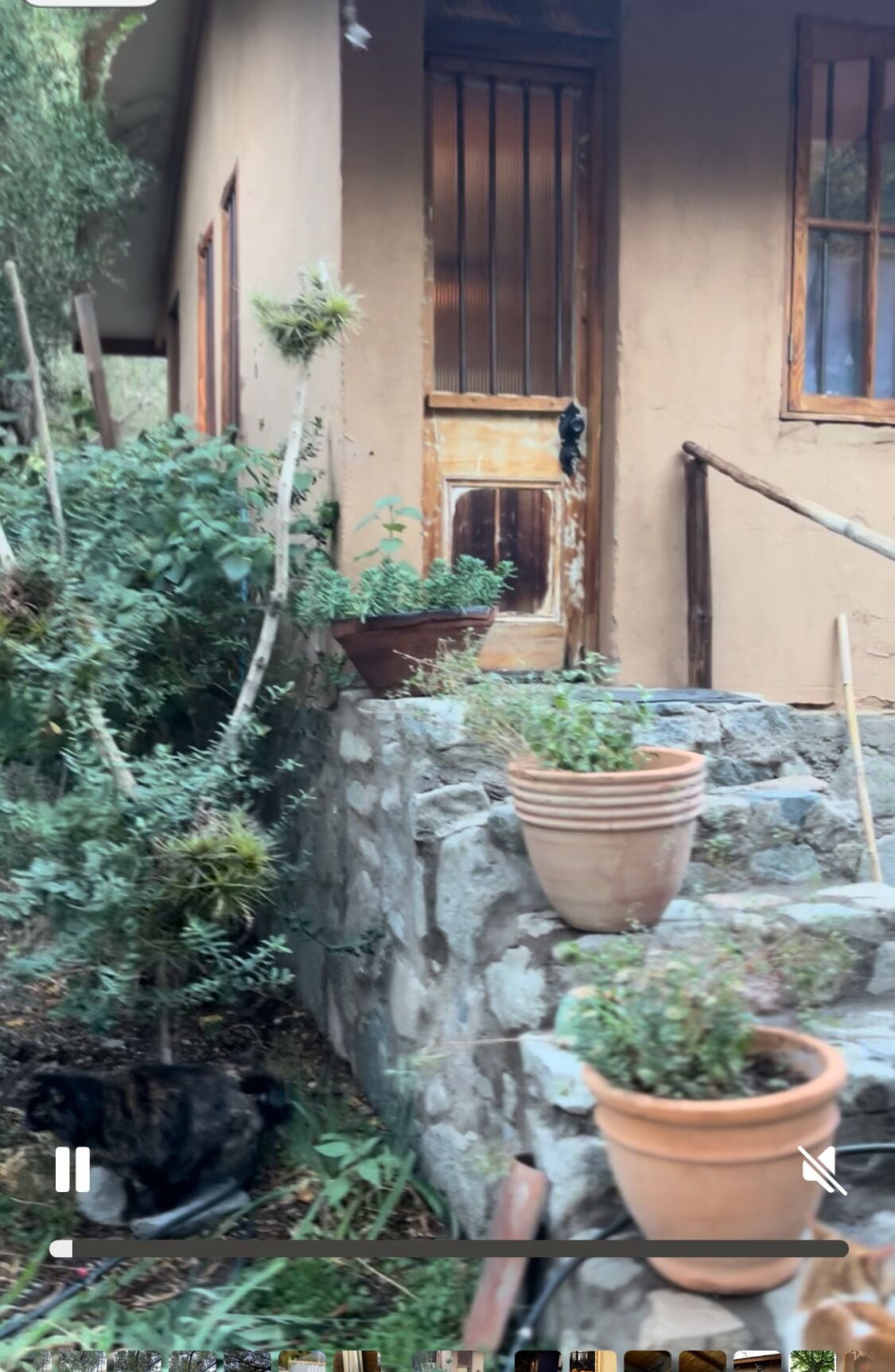 Cabane Classique | Cuisine privée