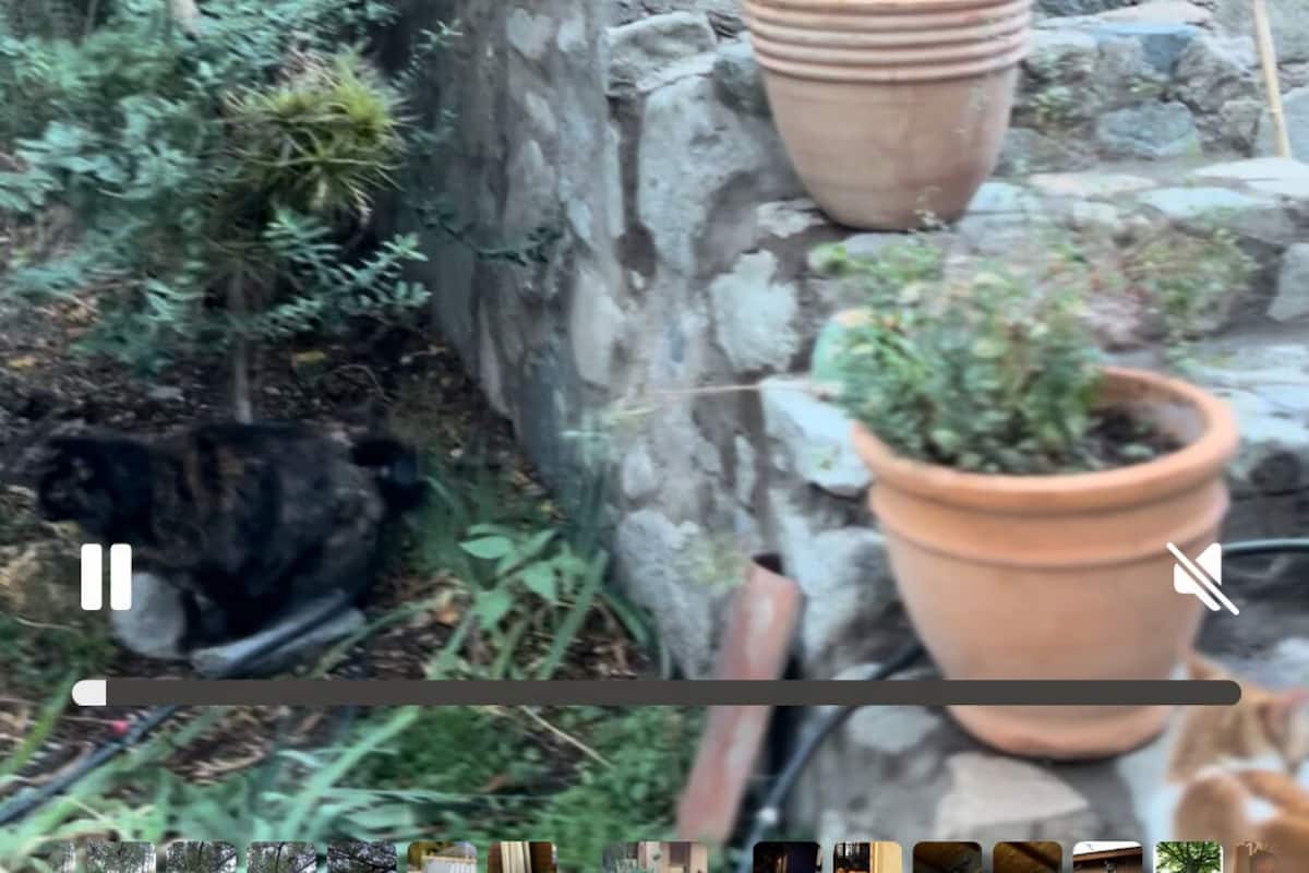 Classic Cabin | Private kitchen | Full-size fridge, dishwasher, coffee/tea maker, rice cooker