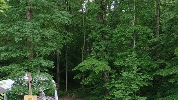 A park with benches and a wooden structure with a sign. - RV Spot #3 at Watts Bar Lake (Spring City)