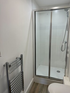 A shower area with a glass door, a metal towel rail, and a white toilet.